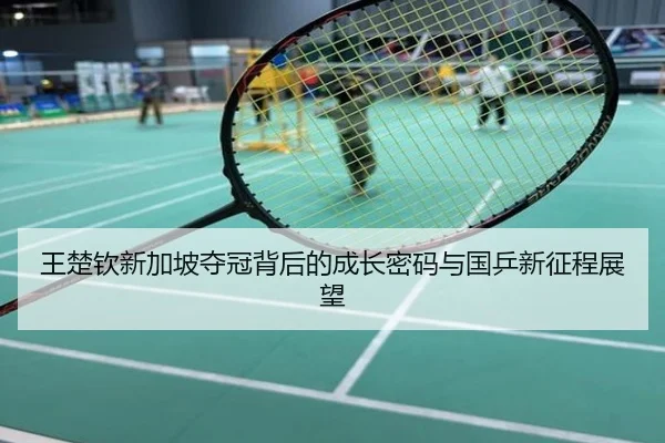 王楚钦新加坡夺冠背后的成长密码与国乒新征程展望