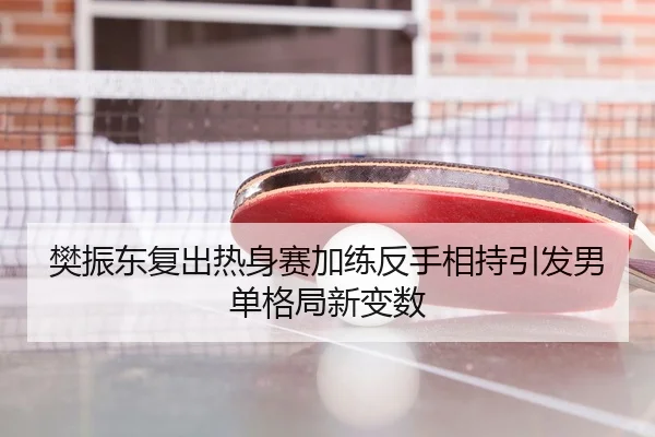 樊振东复出热身赛加练反手相持引发男单格局新变数